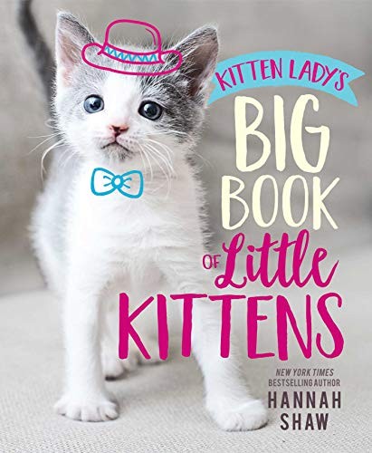 Kitten lady big book - kitten, lady's