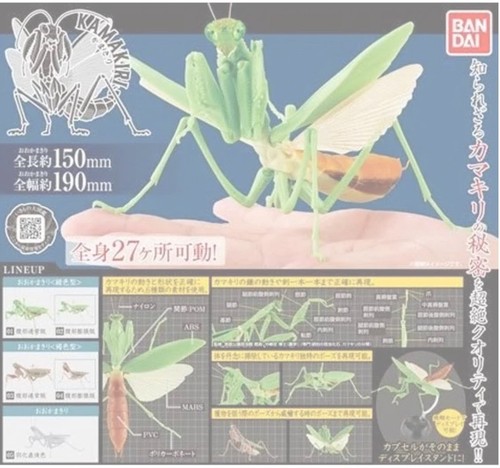 New praying mantis - new,