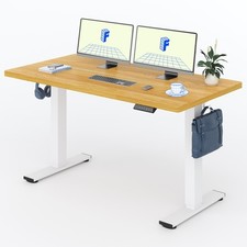 FLEXISPOT E1 Plus One Piece