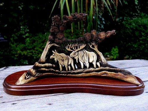 Fallow deer antler - , real