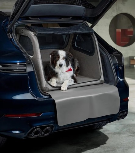 Porsche luggage compartment - porsche,