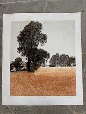 PHIL GREENWOOD RE b1943 Limited Edition ETCHING "Grass Walk" 143/150 1978
