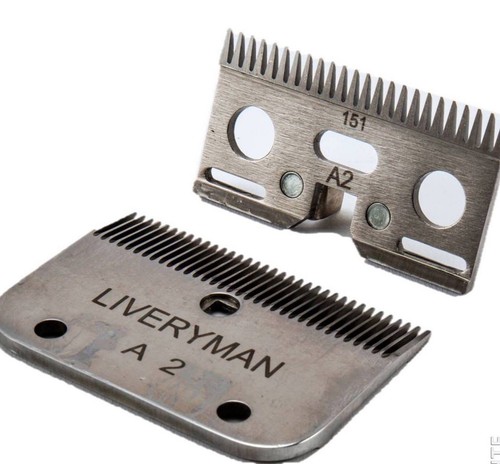 Liveryman medium horse - a2,