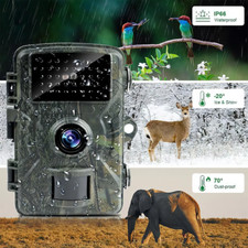 Wildlife Trail Camera 1080P