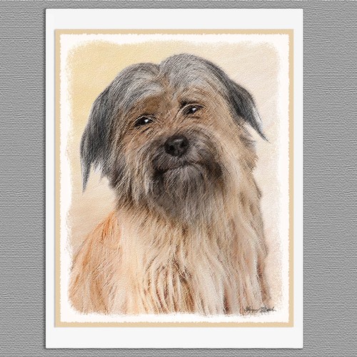 Pyrenean shepherd dog blank - 6,