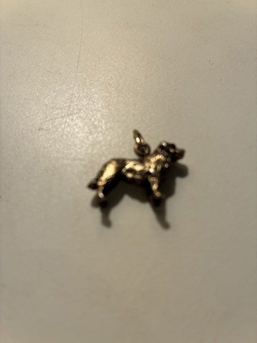 Gold leonberger charm - gold,