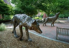 Photo:Raleigh North Carolina