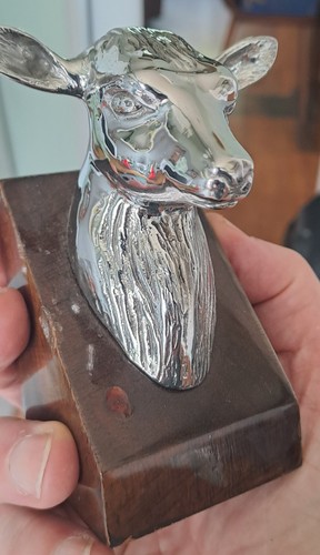 Calf chrome quality made - chrome,