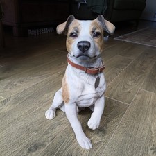 Jack the russell statue - the,