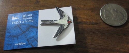 Rspb swallow giving - , nature