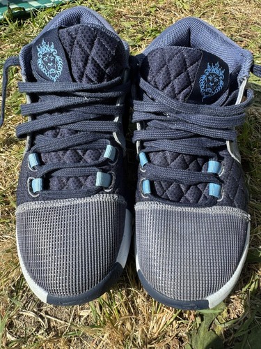 Lebron james basketball shoes - lebron,