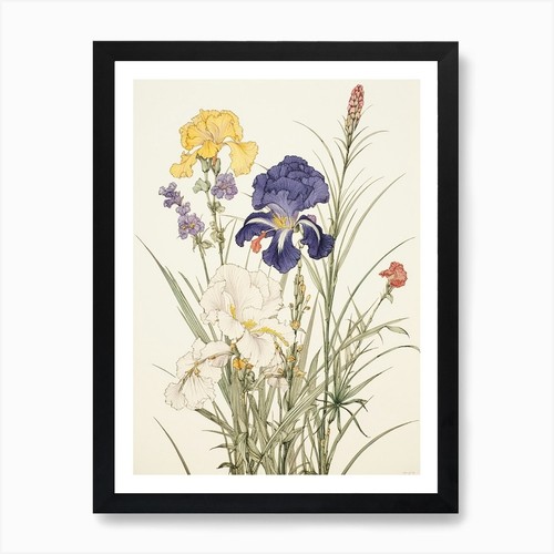 Ayame japanese iris vintage - japanese,