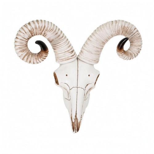 Animal skull wall hanging aged - animal,