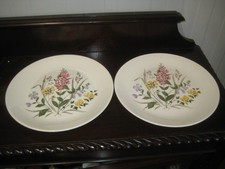 2 Vintage 10" (26cm) Ridgway