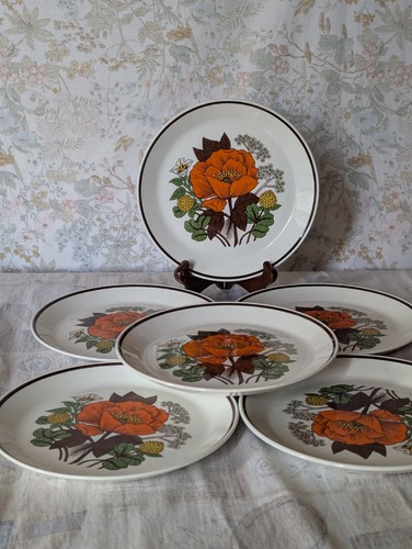 Vintage poppies tea - vintage,