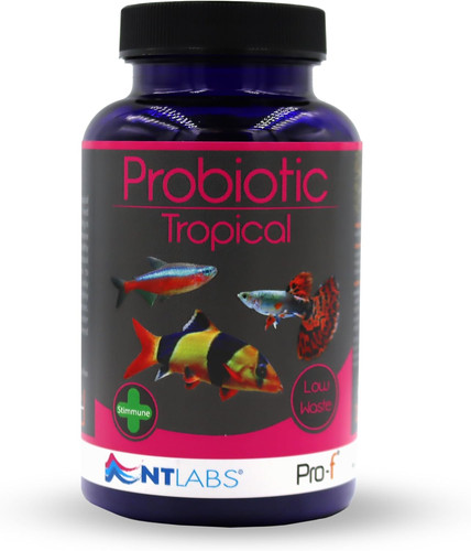 Labs pro probiotic - nt,