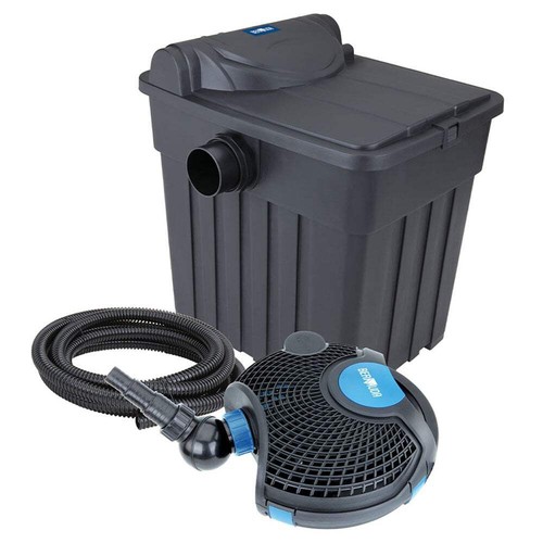 Bermuda fish pond box - bermuda,