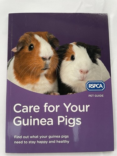 Care for your guinea - your,