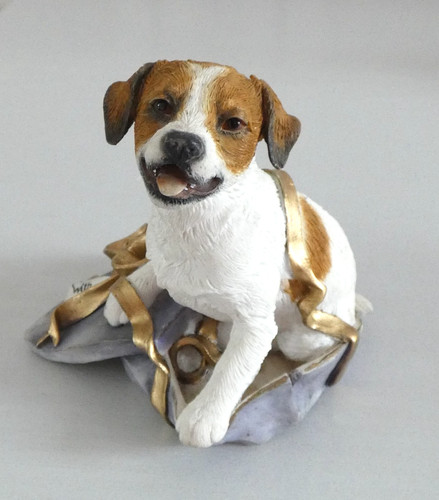 Jack russell terrier - russell,