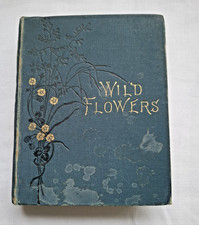 Wild Flowers Anne Pratt Volume