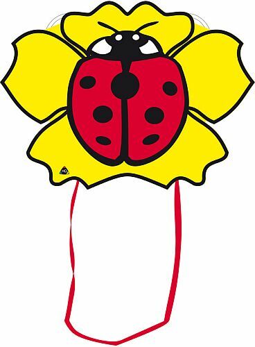 Children kite ladybug - hq, children's
