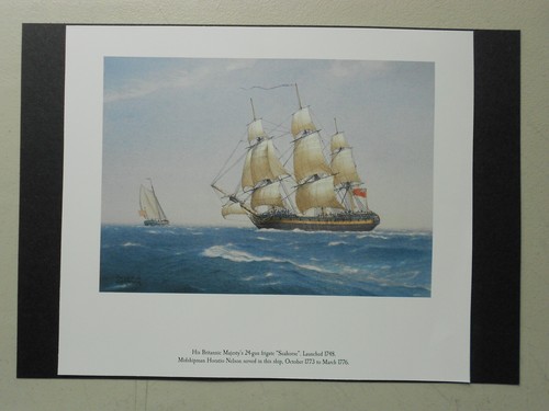 Naval print nelson navy his - naval, print-nelson's