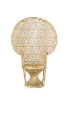 Peacock Chair, Baby Shower