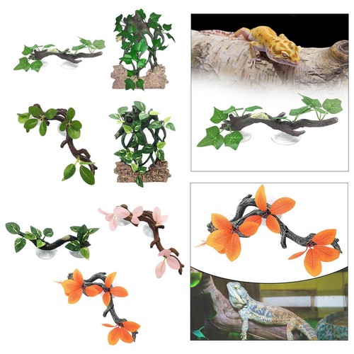 Reptile corner branch - reptile,
