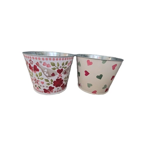 Emma bridgewater tin plant