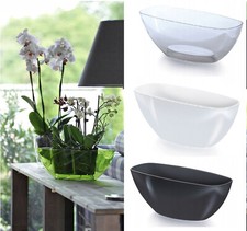 Plant Orchid Pot Plastic 3