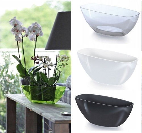 Plant orchid pot plastic - plant, 3