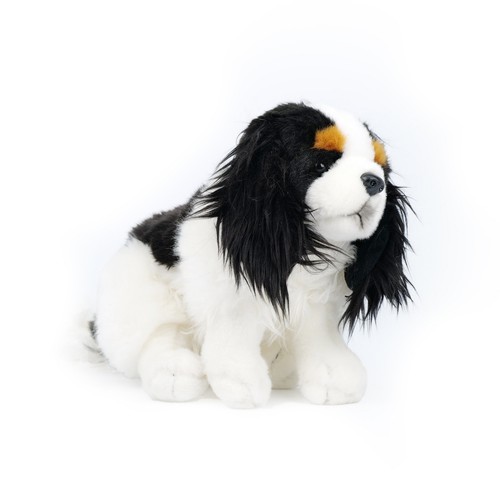 Cavalier king charles - king,