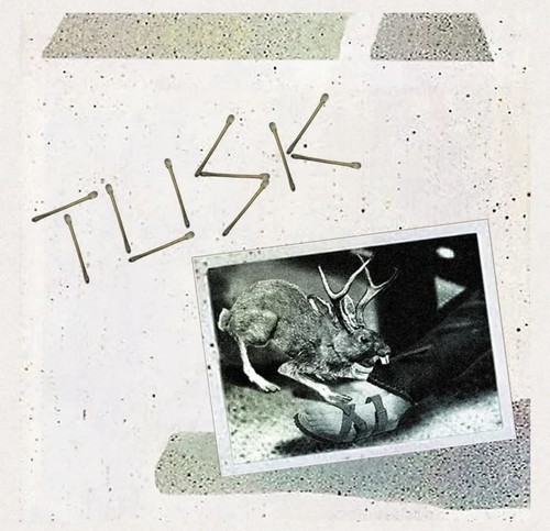 Camper van beethoven tusk - camper,