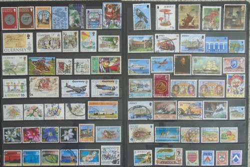 Jersey guernsey mix - jersey, 74