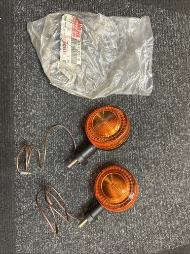 Yamaha ag100 indicators 1996 - ag100,