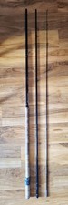 Daiwa Float Fishing Rod