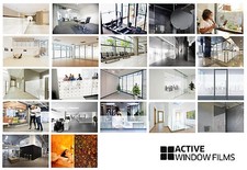 Frosted Decorative Privacy