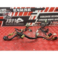 Yamaha XT 660 X 2004 to 2016