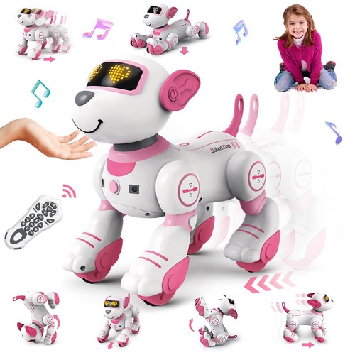 Vatos remote control - control, dog