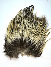 badger cock saddle  flytying