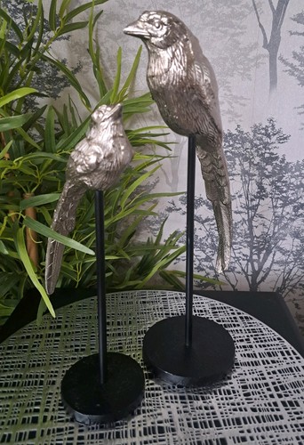 Silver long tail bird - long,