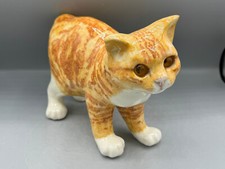 New Winstanley Ginger Manx Cat