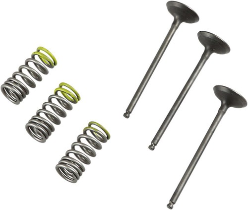 Prox valve spring - &,