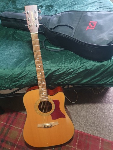Tanglewood tw12 sundance - tw12,