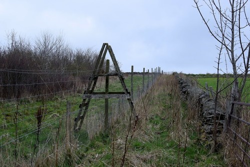 Photo 12x8 deer fence - 12x8,