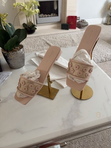 Coast mules - coast,