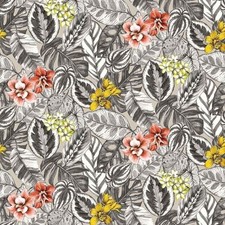 14 Metres of Osborne and