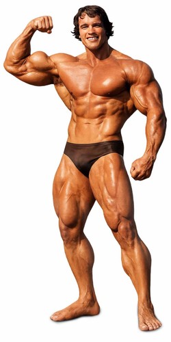Arnold schwarzenegger - arnold, mr
