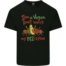 Im a Vegan My b12 Is Fine