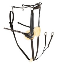 Gallop 5 Five Point Leather